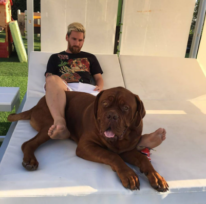 Messi contó dónde y cómo se encuentra Hulk, su gran perro valorado en 80 mil dólares