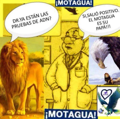 Los mejores memes que deja la jornada 3 en Honduras