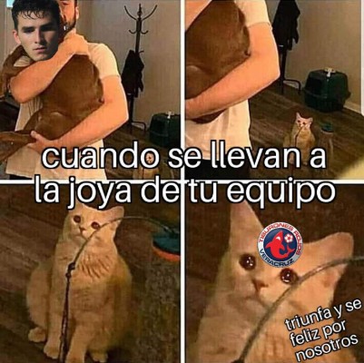 Liga MX: Veracruz es desafiliado y los divertidos memes no perdonan al Tiburón