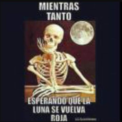 Los mejores memes que dejó la Superluna que maravilla al mundo