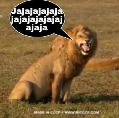 Los memes destruyen al Motagua tras perder la final ante Marathón