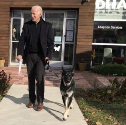 ¿Qué hicieron? Expulsan a los dos perros del presidente Joe Biden de la Casa Blanca
