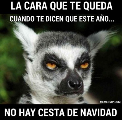 Desde el arbolito hasta lo gordo que puedes estar en enero: Los mejores y divertidos memes de la navidad 2019