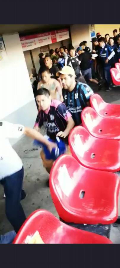 Identificados: los rostros de los agresores que provocaron una brutal pelea en el Querétaro-Atlas de la Liga MX