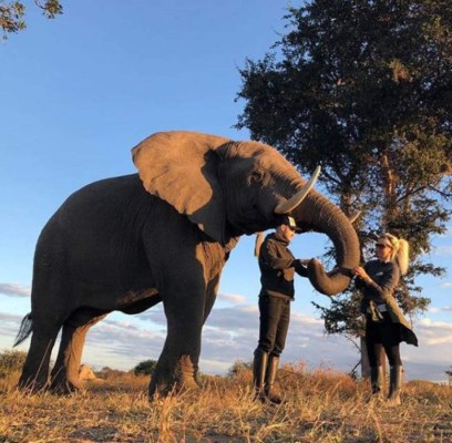 Wanda Nara se desnuda en la sabana con Mauro Icardi ¡Hasta atrajo a los monos!