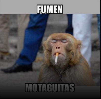 ¡Marathones no perdonan y se burlan del Motagua en memes!