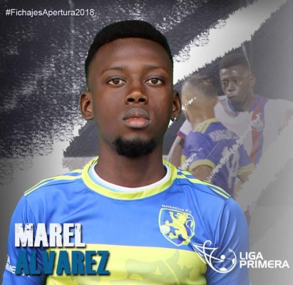 Esta es la legión hondureña que se encuentra dispersa en Centroamérica