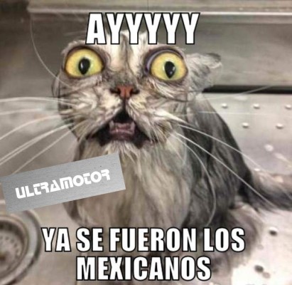 ¡Para morirse de risa! Los memes que nos dejó la clasificación de Honduras a la Hexagonal