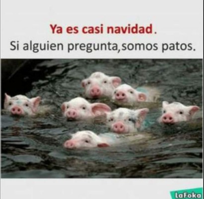 Desde el arbolito hasta lo gordo que puedes estar en enero: Los mejores y divertidos memes de la navidad 2019