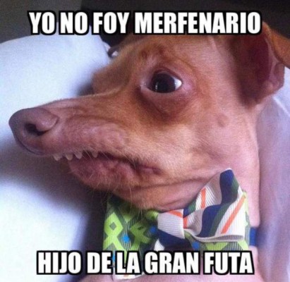 Los memes de Marvin Ponce y el altercado con Nelson Ávila