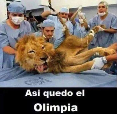 Los mejores MEMES de la derrota del Olimpia ante el Honduras Progreso