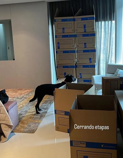 Joana Sanz, expulsada de la casa de Dani Alves por no cumplirle este deseo al brasileño mientras sigue en la cárcel