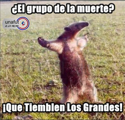 Memes sobre el sorteo del Mundial Brasil 2014.