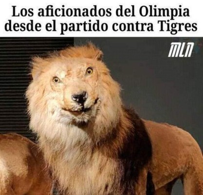 ¡Imperdibles! Los memes destrozan al Olimpia tras perder la final de grupos ante Marathón