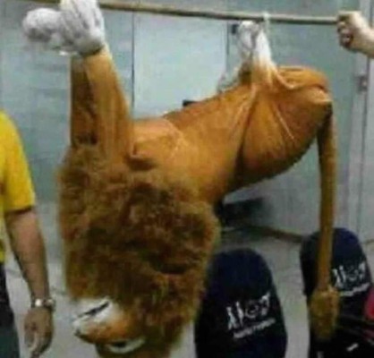 ¡Bullying contra Olimpia! Los marathones y sus crueles memes tras ganar en el Yankel