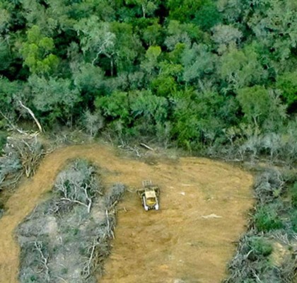 Talan bosque tropical en Manaos, Brasil para abrir cientos de tumbas por muertes de coronavirus
