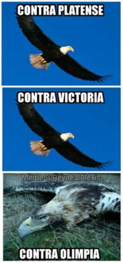 Los mejores memes que dejó el clásico Olimpia-Motagua en Honduras