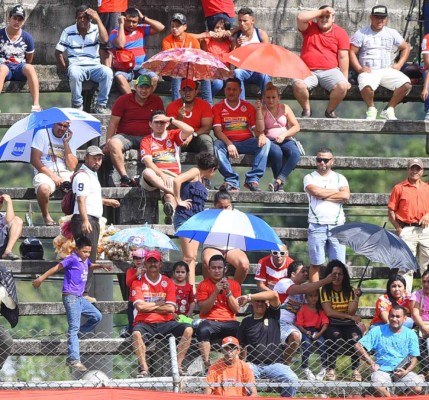 ¡Para deleitarse! El menú que te espera en los estadios de Liga Nacional