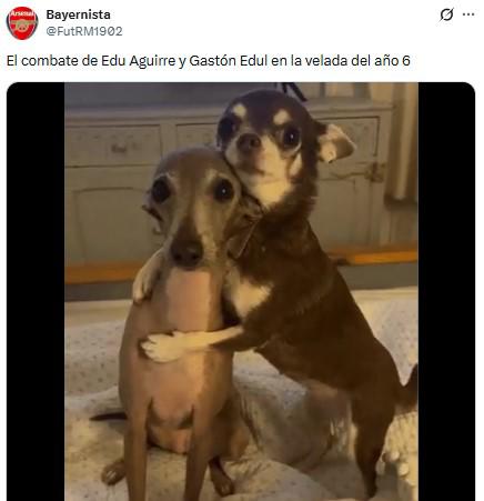Los memes que dejó la pelea de Edu Aguirre ante Gastón Edul en La Velada del Año 6