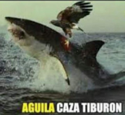 Los divertidos memes quen deja Motagua y Platense en la ida de la final