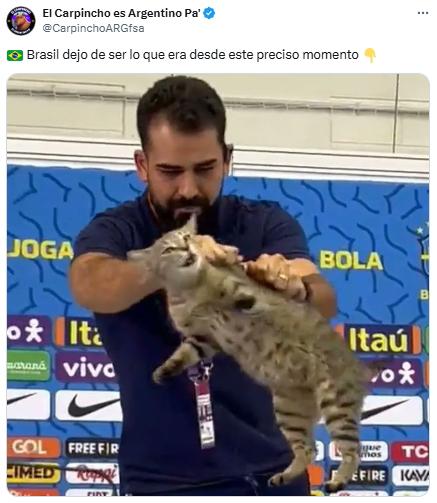 Los memes que dejó la paliza de Argentina ante Brasil en el Sudamericano: ¡Mascherano fue una de las víctimas!