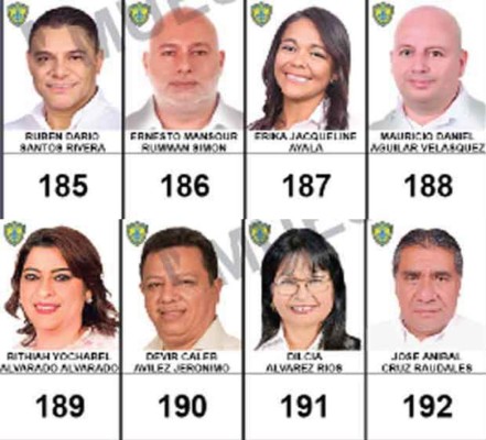 Especial elecciones Honduras 2017: Los candidatos a diputados por Francisco Morazán
