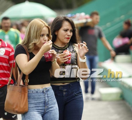 ¿Por qué son tan bellas? Estas son las chicas que adornaron Jornada 12