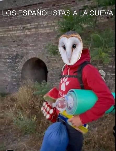 Siguen aplastando a Real España y se suma Olimpia: Los nuevos memes del título de Motagua en Honduras