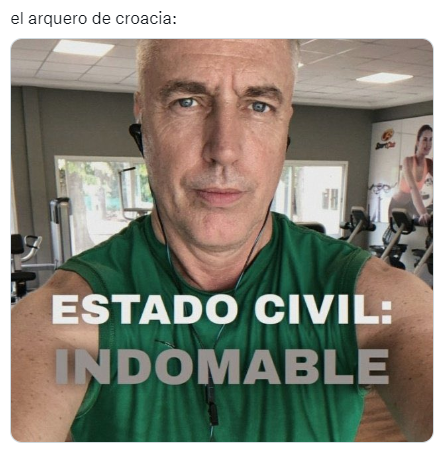 La venganza del michi: memes destrozan a Brasil tras quedar eliminado del Mundial ante Croacia