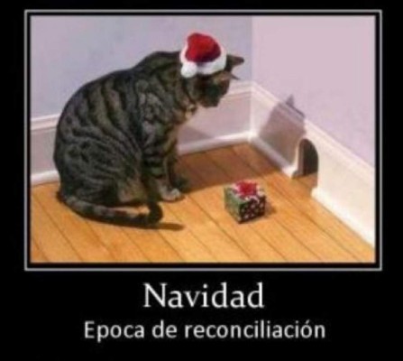 Los memes más divertidos de Navidad que le dan la vuelta al mundo