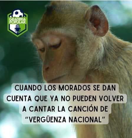 En Costa Rica destrozan con memes al Saprissa tras histórica derrota en Nicaragua ante el Real Estelí