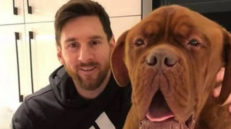 Messi contó dónde y cómo se encuentra Hulk, su gran perro valorado en 80 mil dólares
