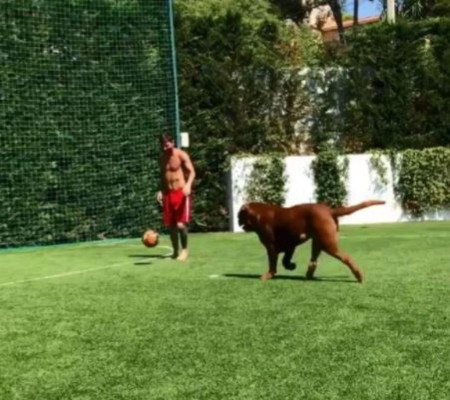 La vida de lujo de Messi en España: Una mansión, su colección de autos y un hotel de 26 millones de euros