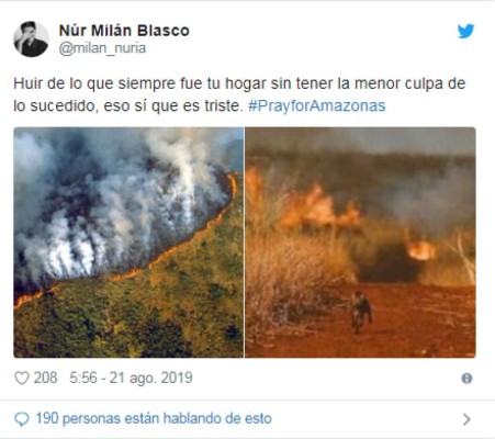 Las fotografías engañosas sobre los incendios que arrasan la Amazonia de Brasil