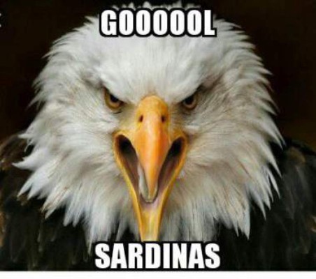 Los mejores memes de la jornada del fin de semana con Olimpia como protagonista