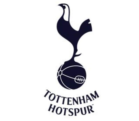 Harry Kane, lesionado en un tobillo, no jugará hasta marzo