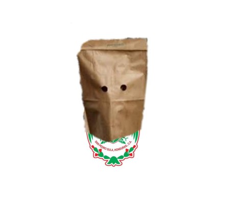 ¡Llueven los memes! Marathón, blanco de las burlas luego de humillación del Santos