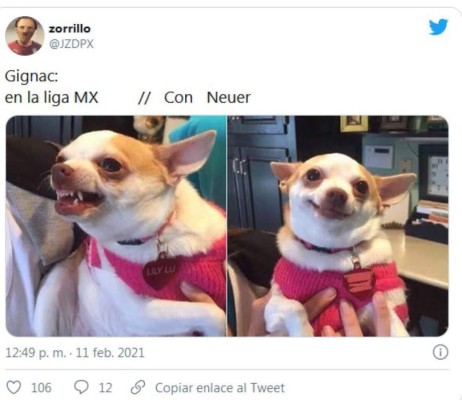 ¡Volaron las redes! Tigres es víctima de terribles memes luego de caer contra el Bayern Múnich