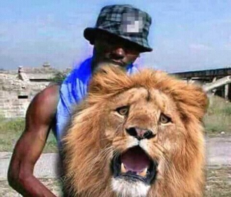 MEMES: Hacen pedazos al Olimpia tras ser eliminado por Motagua en semifinales