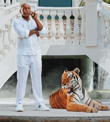 Tremendo: así luce Mike Tyson a sus 58 años antes de volver al ring y reveló el motivo de su pelea contra Jake Paul