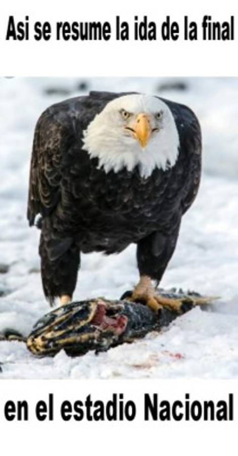 Los divertidos memes quen deja Motagua y Platense en la ida de la final