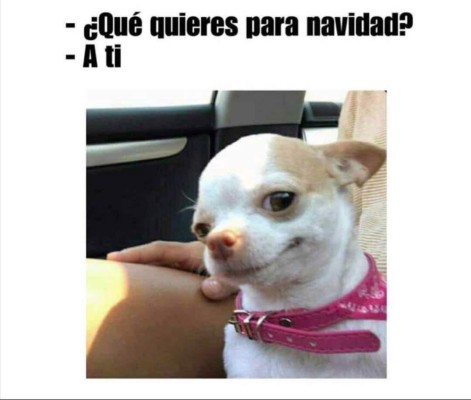 Los memes más divertidos de Navidad que le dan la vuelta al mundo