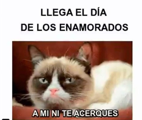 ¿Cuál te pasó a ti? Los mejores memes del día San Valentín