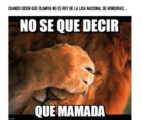 ¡POBRE SOCIAL SOL! Con estos dolorosos memes los despiden de la Liga Nacional