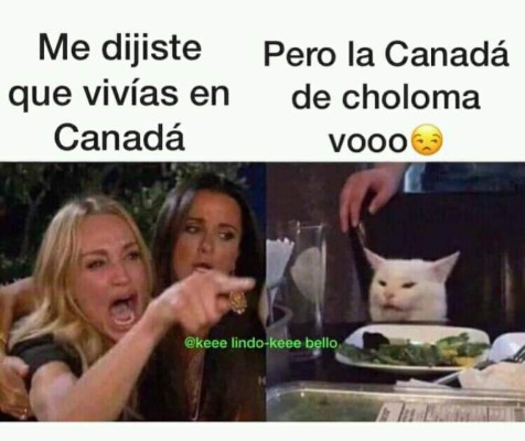 Los mejores memes del gato en la mesa y la mujer gritando, los equipos de Honduras no se salvan