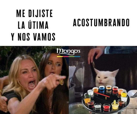 Los mejores memes del gato en la mesa y la mujer gritando, los equipos de Honduras no se salvan