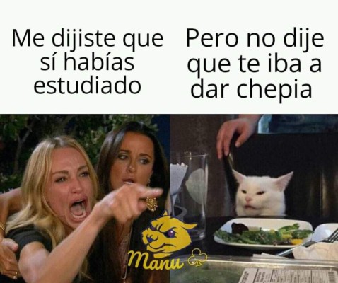 Los mejores memes del gato en la mesa y la mujer gritando, los equipos de Honduras no se salvan