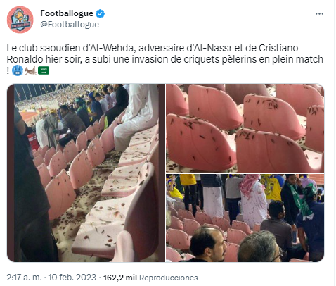 Lo que nadie vio del partido de Cristiano Ronaldo y ya se hizo viral: “Hasta los bichos quieren ver al Bicho... Es demasiado”