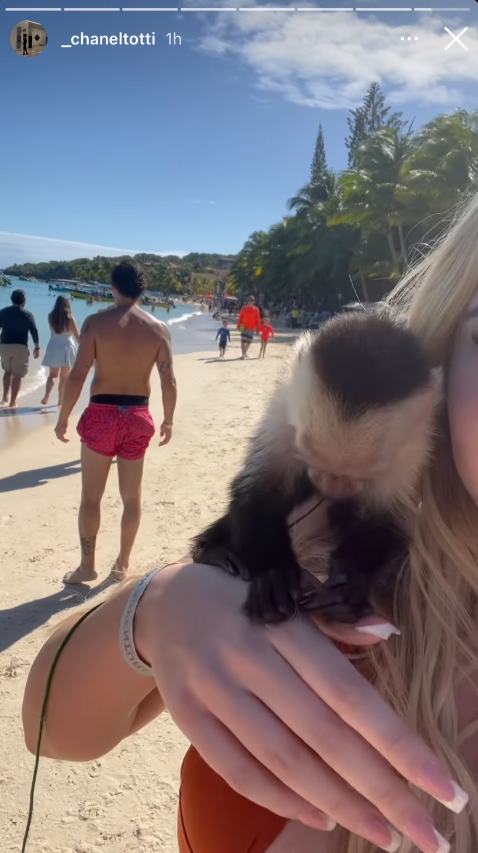 Chanel Totti, de 17 años, se divierte con el querido mono de la zona de West Bay.