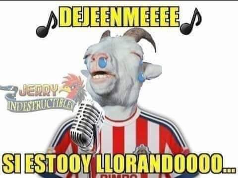 Los memes hacen pedazos a Chivas luego del ridículo histórico ante Tigres en la final de la Liga MX